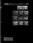 Pathologist visits Greenville (11 negatives), July 26-28, 1966 [Sleeve 51, Folder c, Box 40]